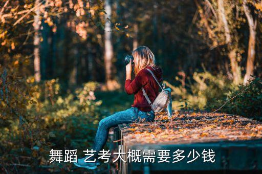  舞蹈 艺考大概需要多少钱