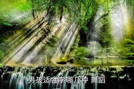 适合男生跳的舞蹈简单易学,适合初中生跳的舞蹈简单易学