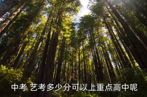 中考美术艺考多少分才能过,美术中考培训班