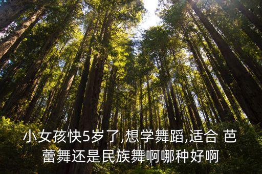 小女孩快5岁了,想学舞蹈,适合 芭蕾舞还是民族舞啊哪种好啊