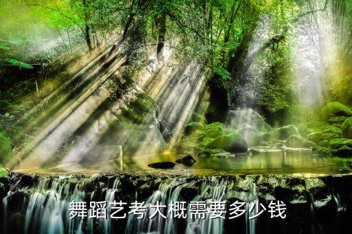  舞蹈艺考大概需要多少钱