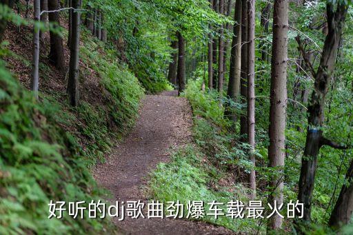 好听的dj歌曲劲爆车载最火的