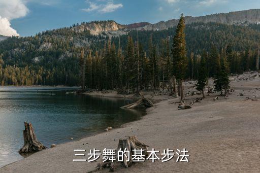怎样学跳慢三步舞,跳慢三步舞手把手教