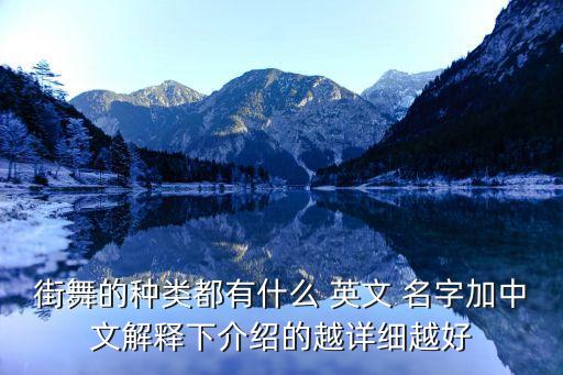 街舞的种类都有什么 英文 名字加中文解释下介绍的越详细越好