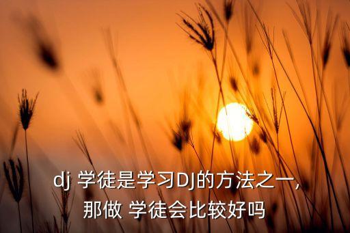 dj学徒需要什么条件,中医学徒什么条件