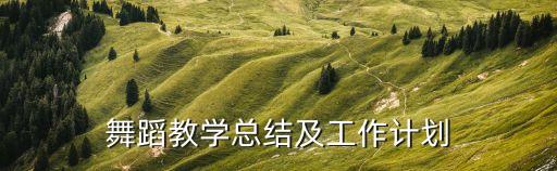 舞蹈教学总结及工作计划