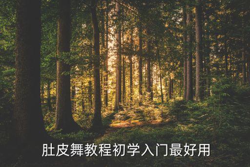 穿的最少的肚皮舞视频,透明衣服