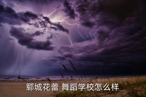 郓城花蕾 舞蹈学校怎么样