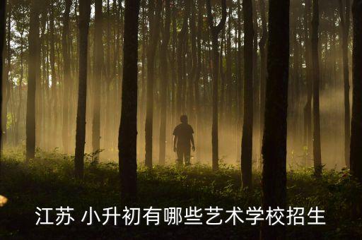 小升初怎么考舞蹈艺校,艺校是小升初好考还是初中好考
