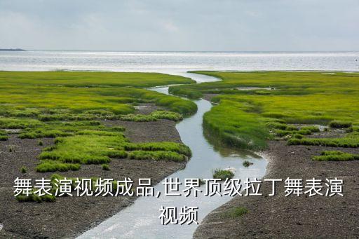 舞表演视频成品,世界顶级拉丁舞表演视频