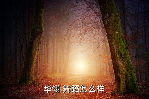 华翎 舞蹈怎么样