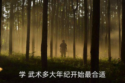 学 武术多大年纪开始最合适