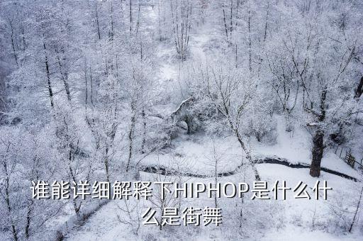 谁能详细解释下HIPHOP是什么什么是街舞