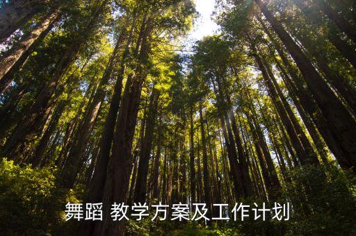 舞蹈 教学方案及工作计划