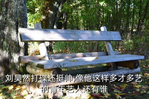 刘昊然打碟还挺帅,像他这样多才多艺的青年艺人还有谁