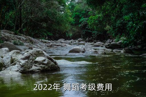 2022年 舞蹈考级费用