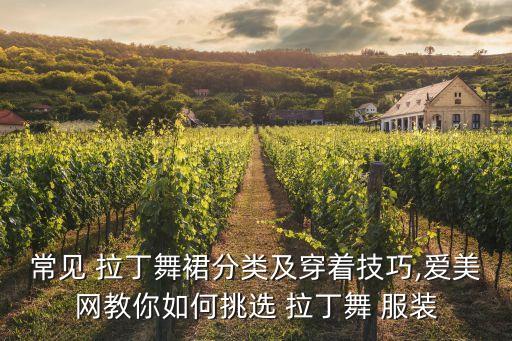 常见 拉丁舞裙分类及穿着技巧,爱美网教你如何挑选 拉丁舞 服装
