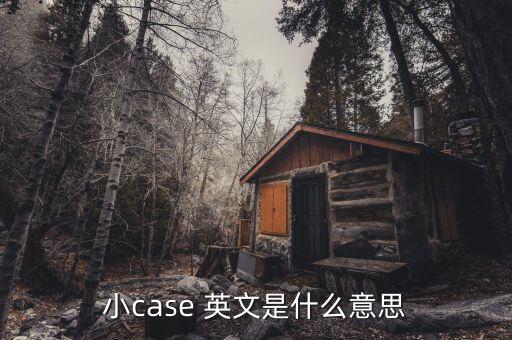 小case 英文是什么意思