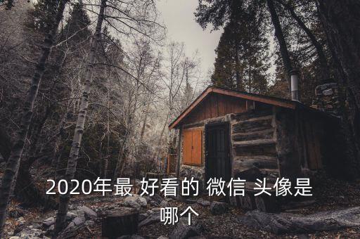 2020年最 好看的 微信 头像是哪个