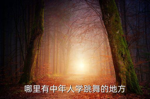 哪里有中年人学跳舞的地方