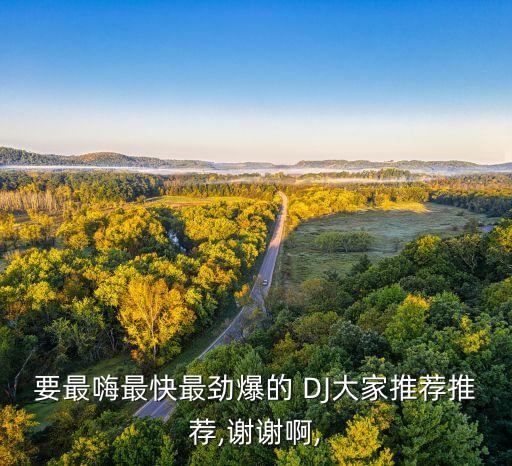超快DJ舞曲,dj歌曲串烧大全5000首