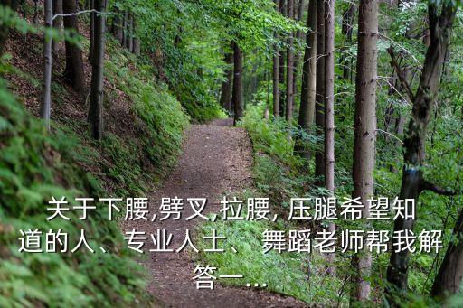 关于下腰,劈叉,拉腰, 压腿希望知道的人、专业人士、 舞蹈老师帮我解答一...