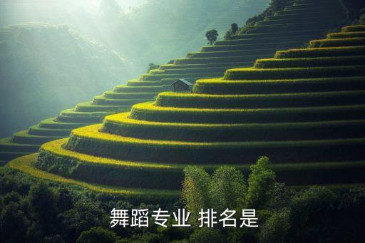  舞蹈专业 排名是