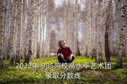 舞蹈生多少分能上985
