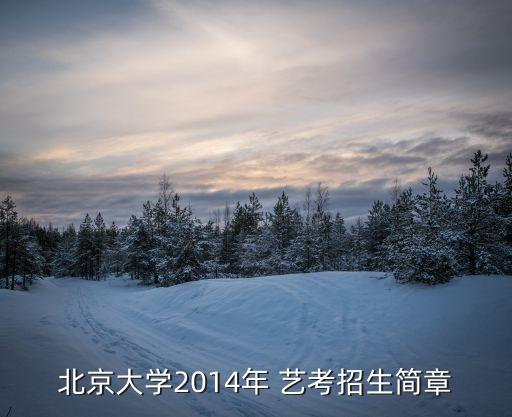 北京大学2014年 艺考招生简章