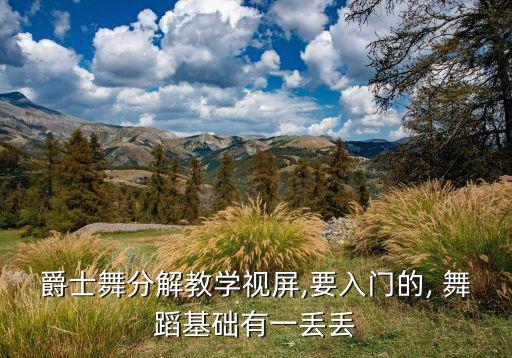 爵士舞分解教学视屏,要入门的, 舞蹈基础有一丢丢