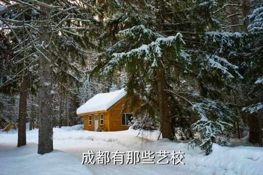 成都舞蹈艺术学校排名一览表,舞蹈艺术学校排名前十名的大学