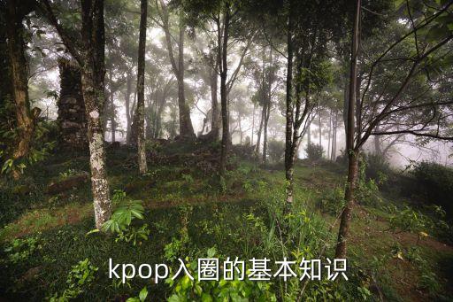 概念核心什么意思kpop,核心概念的操作定义是什么意思