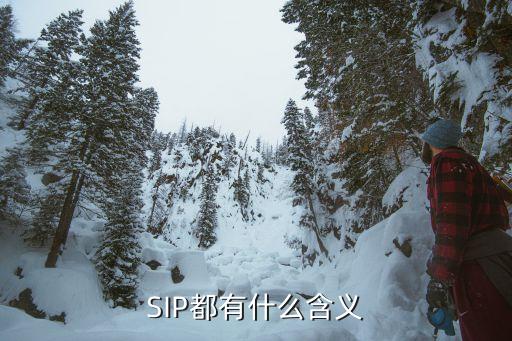 sip是什么意思,sop流程是什么意思