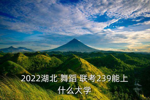 2022湖北 舞蹈 联考239能上什么大学