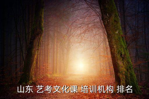 山东 艺考文化课 培训机构 排名