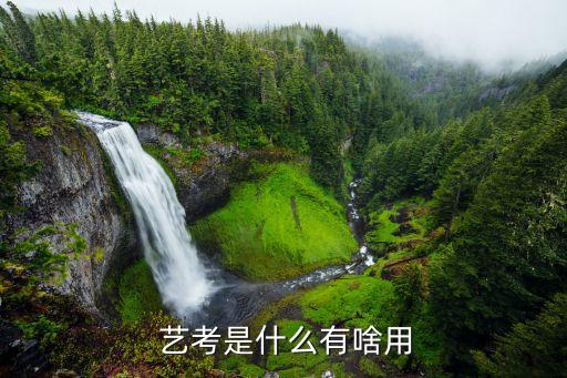 艺考是什么,艺考生是什么意思