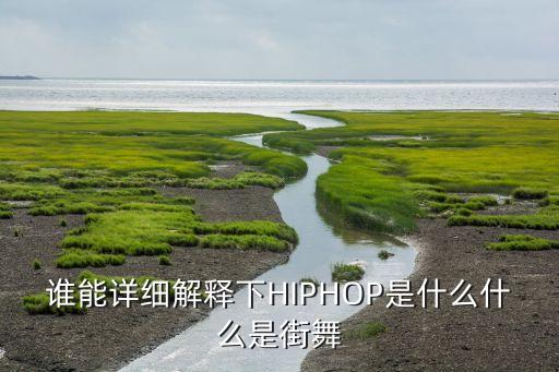 hiphop舞蹈里面的专业术语,评价hiphop的专业术语