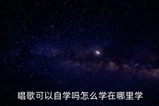  唱歌可以自学吗怎么学在哪里学