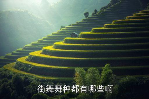  街舞舞种都有哪些啊