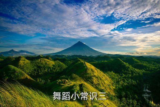 简单双人舞初学者,简单好看的双人舞
