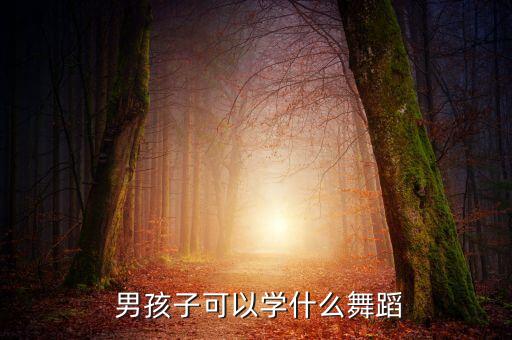  男孩子可以学什么舞蹈