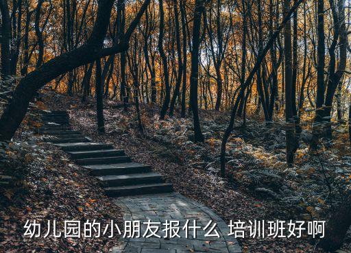 孩子必上的培训班,男孩学什么兴趣班比较好