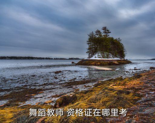  舞蹈教师 资格证在哪里考