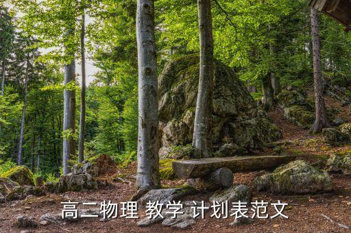 高二物理 教学 计划表范文