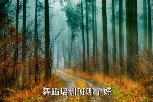  舞蹈培训班哪个好