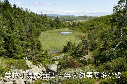 学拉丁舞或街舞 一年大约需要多少钱