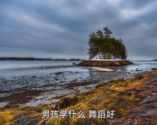 男孩学什么 舞蹈好