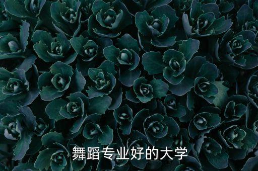  舞蹈专业好的大学