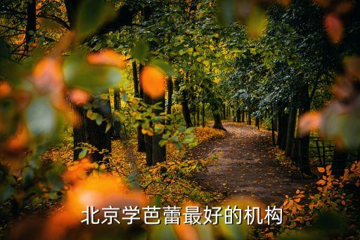  北京学芭蕾最好的机构