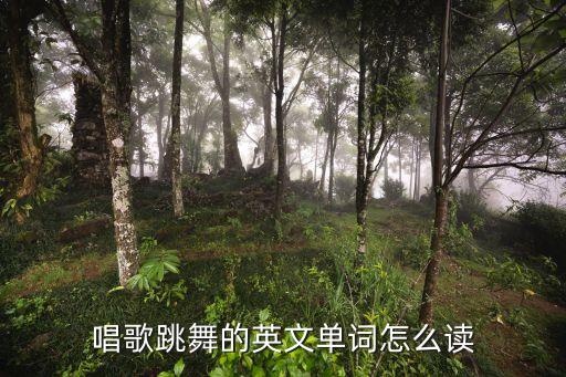 唱歌跳舞的英文单词怎么读